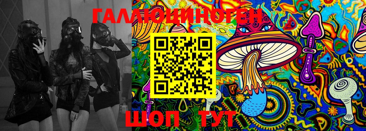 Псилоцибиновые грибы мухоморы  Вход с VPN  Унеча  Псилоцибиновые грибы Psilocybe 